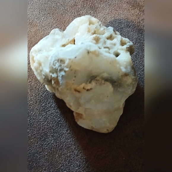 Mineral Quartz Rock Shaped Like an Animal Skull Great for Collector's - Picture 5 of 6